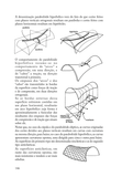 A Concepção Estrutural